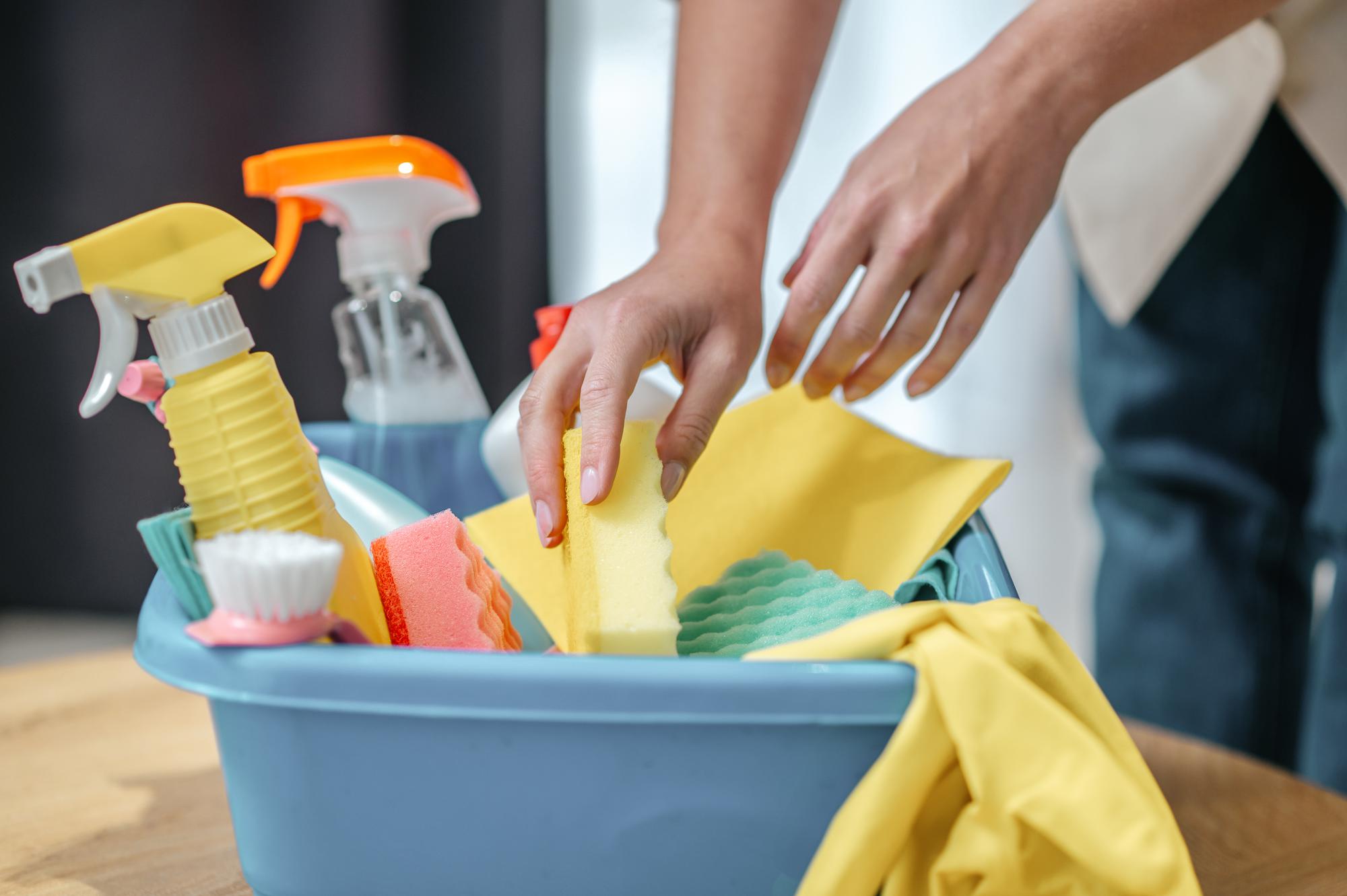 REGULAR CLEANING SERVICES